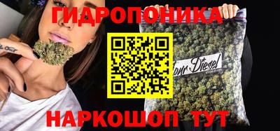 эйфоретик Бийск