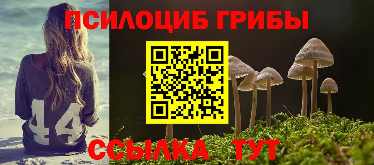 Галлюциногенные грибы Magic Shrooms  Вход с VPN  Астрахань 