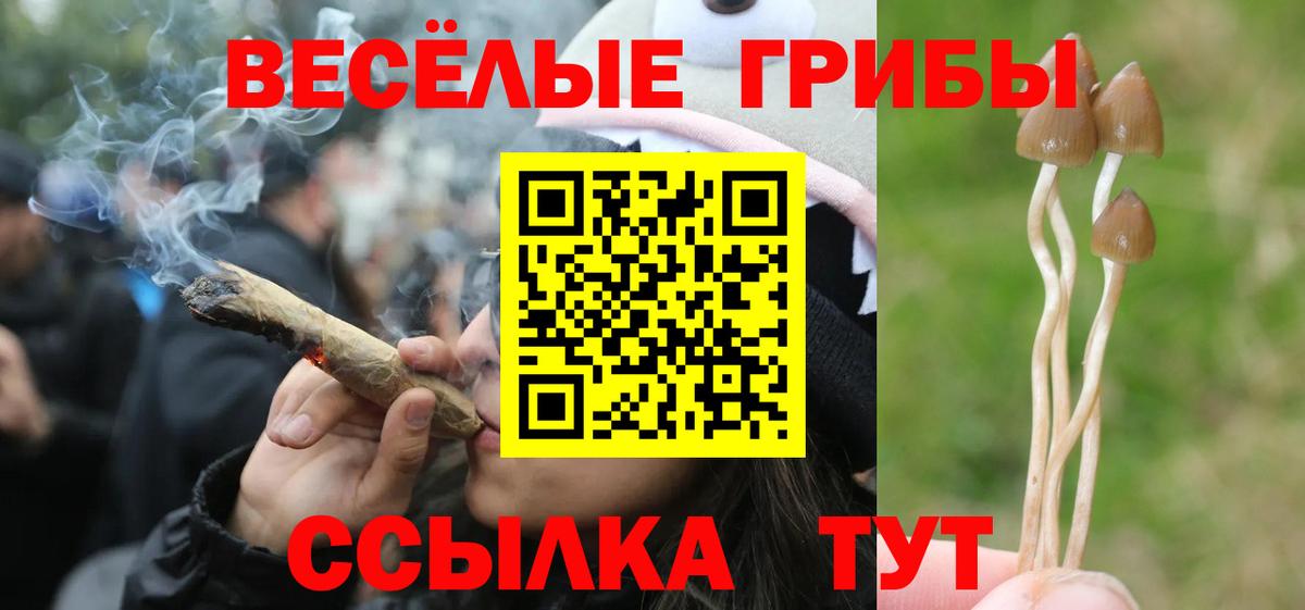 Галлюциногенные грибы прущие грибы Астрахань
